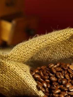 Expocafé apresenta novas cultivares resistentes à ferrugem