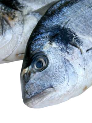 Veja 10 maneiras de cozinhar de maneira sustentável