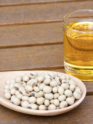 Modelo exportador de soja faz PIB nacional subir