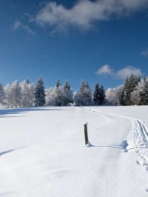 Veja quais são as estações e quanto custa esquiar na Europa