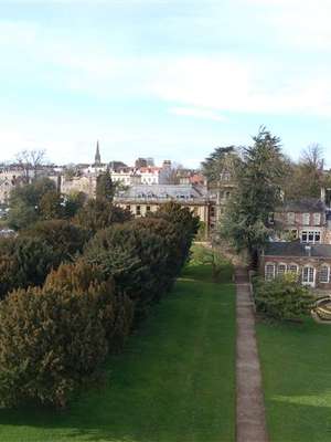 Cai procura por casamento na igreja; sobe em locações de TV