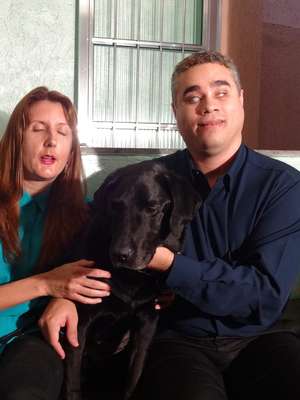 SP: "vaquinha" para tratar cão-guia arrecada triplo da meta