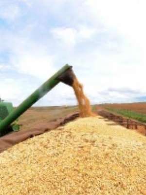 Receita recorde: agronegócio aumenta participação no PIB
