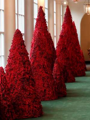 Decoração de Natal da Casa Branca vira piada na internet