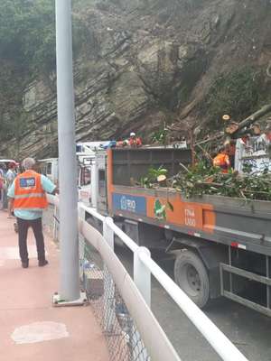Após queda de árvore, Avenida Niemeyer é liberada