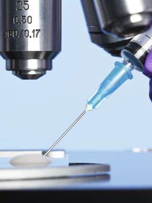 Seleção embrionária permite identificar e evitar doenças