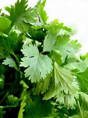 Salsa e 3 frutas que deixam o sorriso mais brilhante