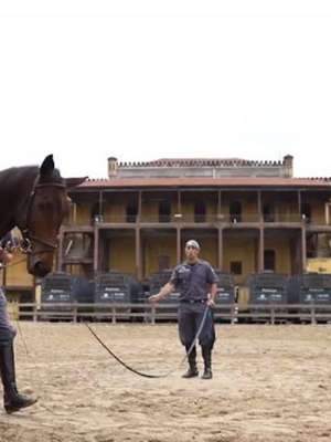 Polícia Militar de SP oferece equoterapia gratuita para ...