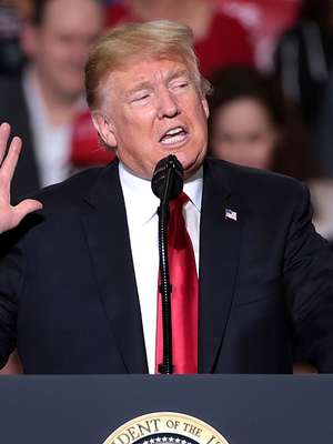 Cérebro tende a descartar ideias contrárias, mesmo se ...