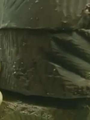 Restaurante no Egito inova e serve 'chocolate no espeto'