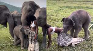 Filhote de elefante arranca saia de modelo na Tailândia; assista
