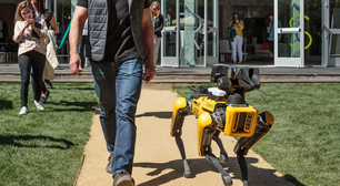 Homem vai usar cachorro robô para recuperar 8.000 Bitcoin perdidos em lixão