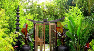 Feng Shui no jardim: encontre equilíbrio e harmonia