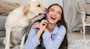 Por que cachorros lambem os donos? Veterinária explica