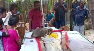 Macaco vai ao velório de homem que o alimentava, chora e beija o falecido; veja vídeo