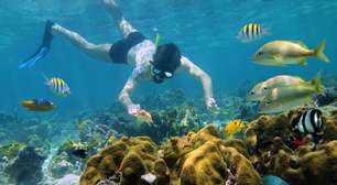 Paraíso para o mergulho, Cancún tem maior recife do Ocidente