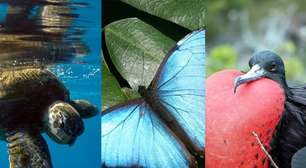 Encante-se com 30 imagens de parques ecológicos do Caribe