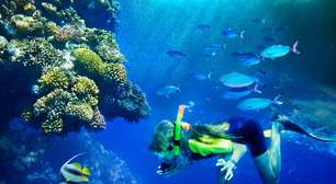 Em Curação, aquário com golfinhos tem água vinda do mar