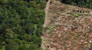 Sadia é processada por compra de carne de áreas irregulares na Amazônia