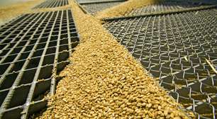 Controle de temperatura reduz perdas na armazenagem de grãos