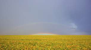 Gigante argentino El Tejar concentra suas atenções no Brasil