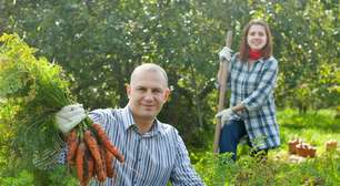 Compra de propriedade rural deve levar em conta sua gestão
