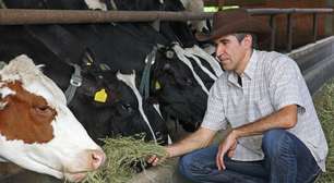 Manejo racional do gado eleva produtividade na pecuária