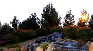 Parque de Torreón é oásis verde em meio ao deserto mexicano