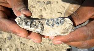 Descoberto fóssil humano mais antigo com 2,8 milhões de anos