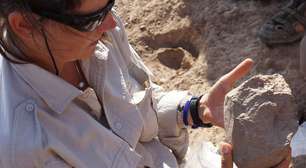 Cientistas descobrem ferramenta de 3,3 milhões de anos