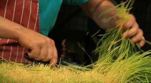 O mapa das feiras orgânicas