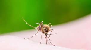 Uso do preservativo previne transmissão sexual do vírus da Zika