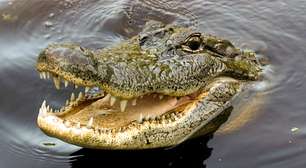 Crocodilo mata pastor durante batismo em lago da Etiópia