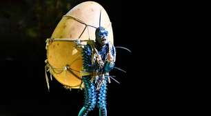 Espetáculo do Cirque du Soleil estreia em Minas; veja preços