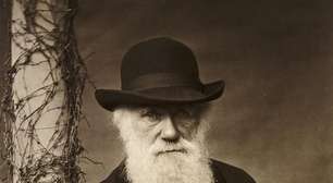 Darwin, da engenharia social à genética