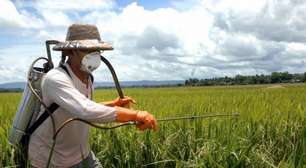 Revolução verde: o que é, origem e impactos