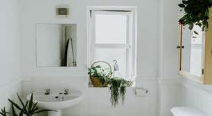 Feng Shui no banheiro: plantas, espelhos e decoração