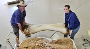 Nova espécie de dinossauro gigante é descoberta na Austrália
