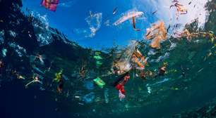 Novo fungo marinho devora lixo plástico dos oceanos, diz estudo