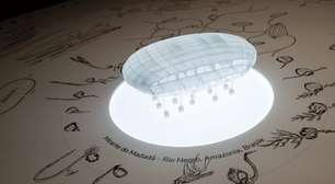 Mirante do Madadá - a Amazônia representando o Brasil na Bienal de Arquitetura de Veneza