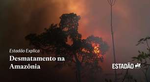 Entenda as consequências do desmatamento na Amazônia