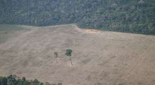Desmatamento da Amazônia pode reduzir chuva anual em até 70%