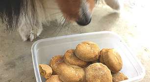 Biscoitos de frango bom para cachorro