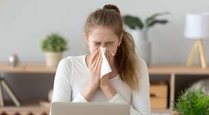 Chás podem curar a sinusite? 5 mitos e verdades sobre doenças respiratórias