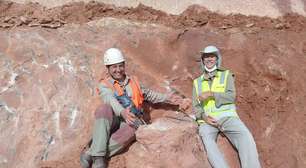 Fóssil de dinossauro é resgatado em obra de rodovia de SP