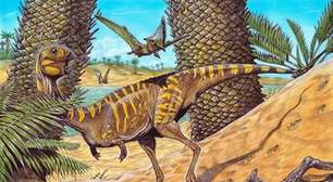 Museu Nacional anuncia descoberta de dinossauro banguelo