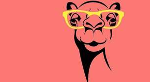 Como os camelos podem ajudar a estender a vida útil de medicamentos