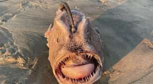 Peixe assustador intriga turistas em praia da Califórnia