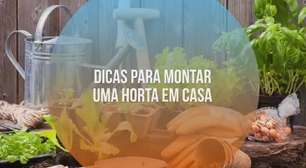 6 dicas para montar uma horta em casa