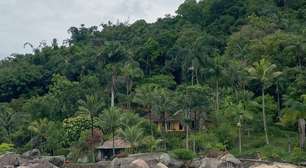 Angra dos Reis: Mergulhando na natureza viva
